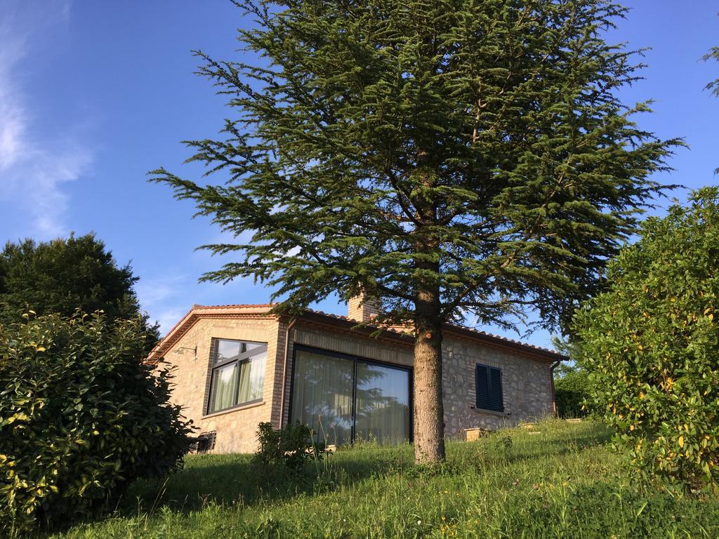 Agricola Caicucci Villa Montone  Room photo