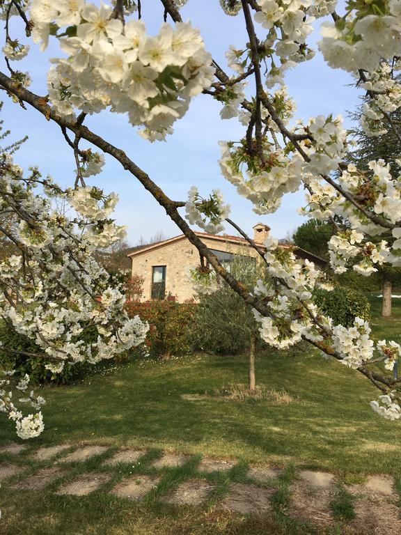 Agricola Caicucci Villa Montone  Exterior photo